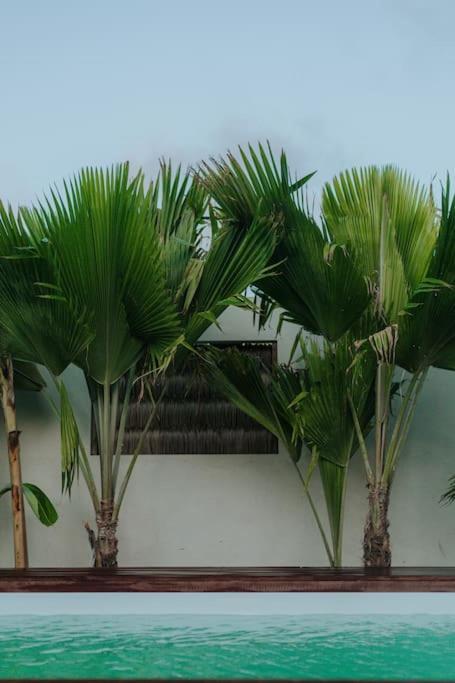 Breezy Chalet - Chale Havai Tutoia Exterior photo